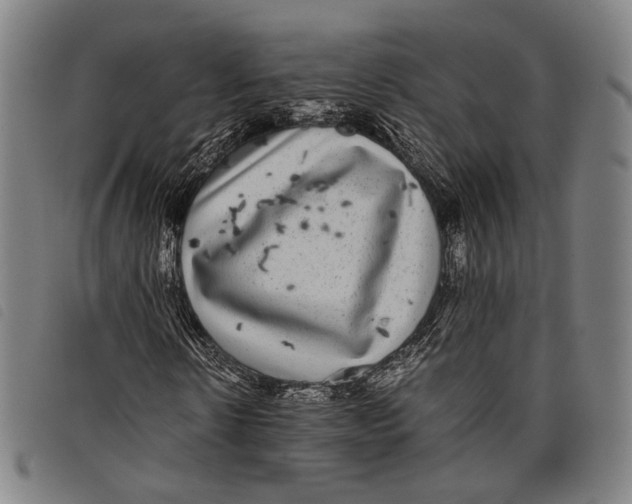 X0000097820914200804041355