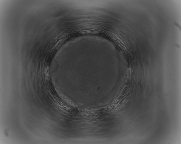 X0000097820915200804041355