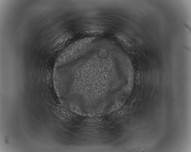 X0000097820917200804041355