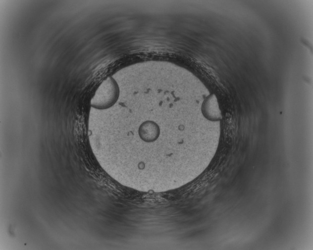 X0000097820918200804041355