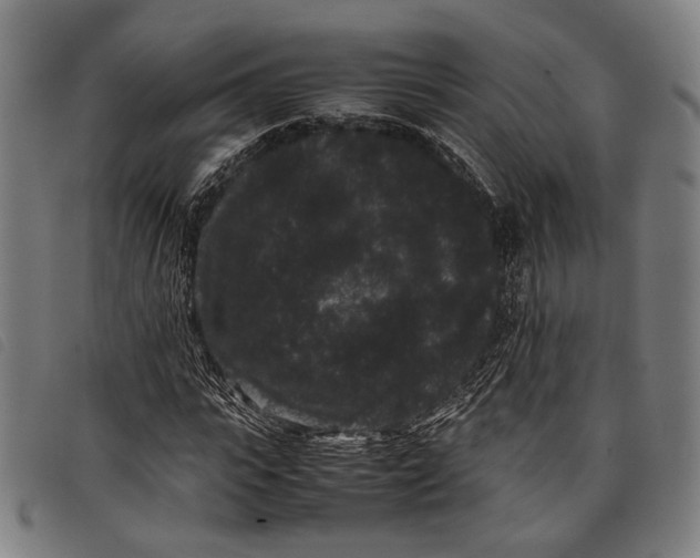 X0000097820919200804041355