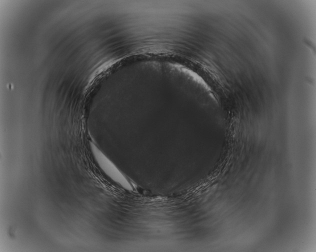 X0000097820920200804041355