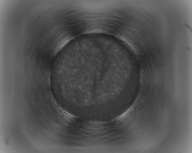 X0000097820921200804041355