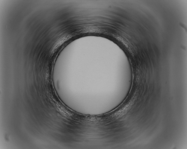 X0000097820922200804041355