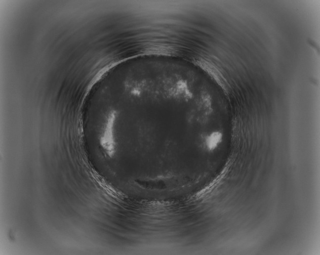 X0000097820923200804041355