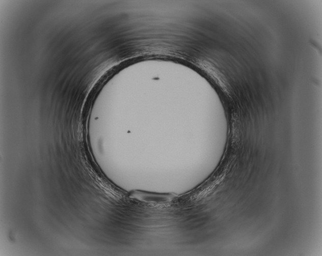 X0000097820924200804041355