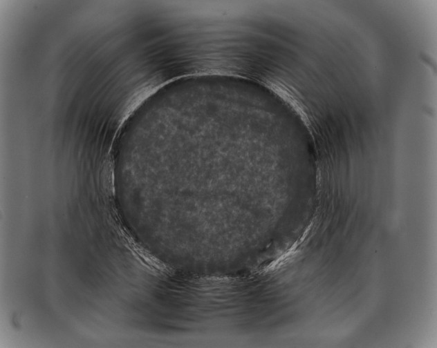 X0000097820925200804041355