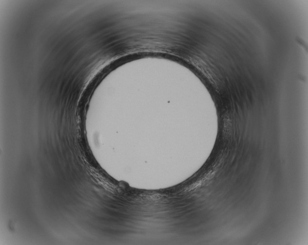 X0000097820926200804041355