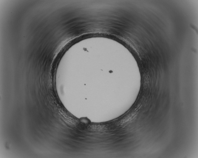 X0000097820927200804041355