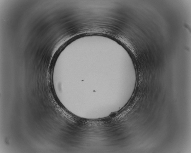 X0000097820928200804041355