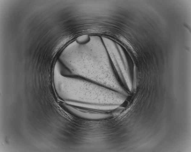 X0000097820930200804041355