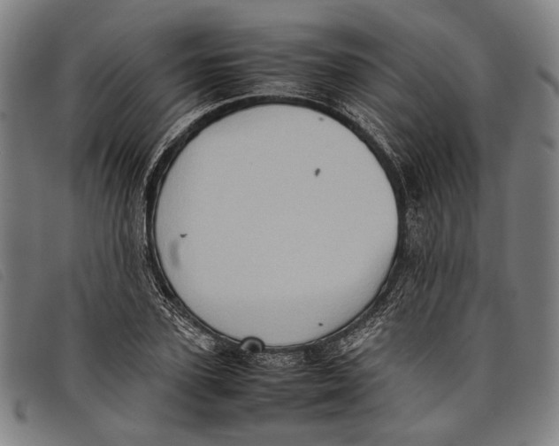 X0000097820931200804041355