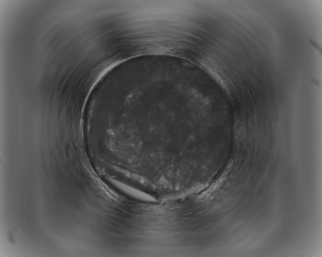 X0000097820932200804041355