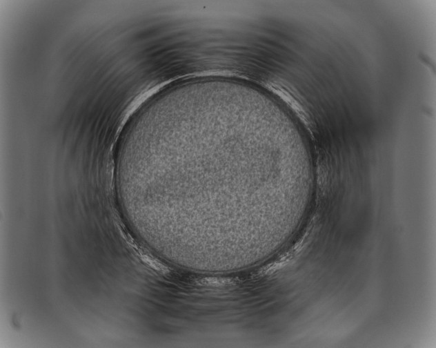 X0000097820933200804041355