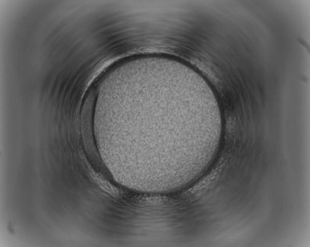 X0000097820934200804041355