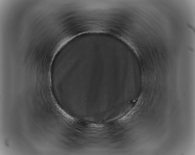 X0000097820935200804041355