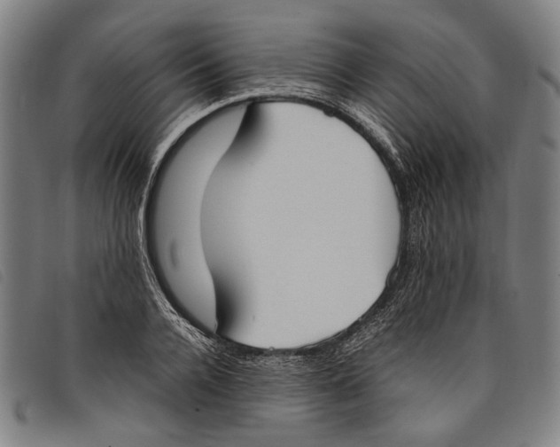 X0000097820936200804041355