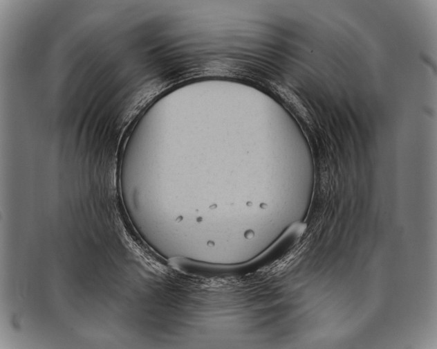 X0000097820938200804041355