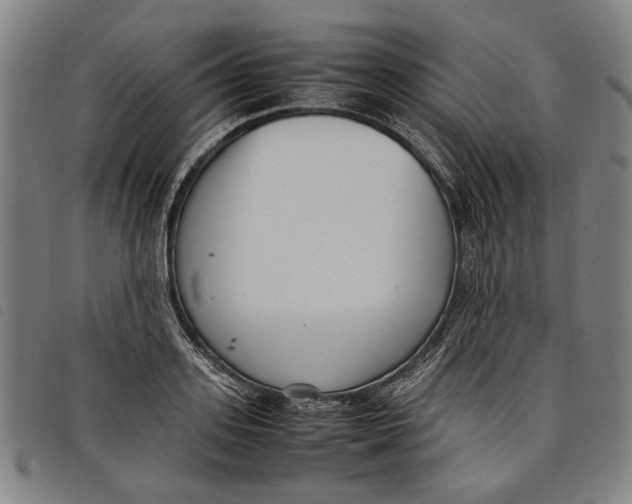 X0000097820939200804041355