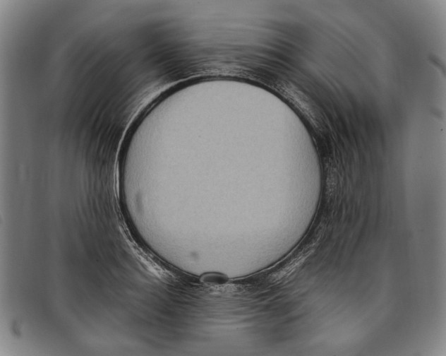 X0000097820940200804041355