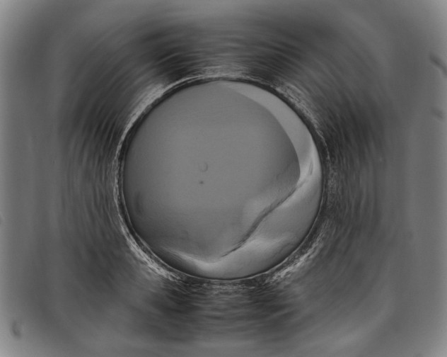 X0000097820941200804041355