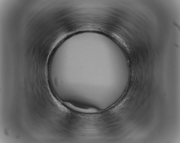 X0000097820942200804041355