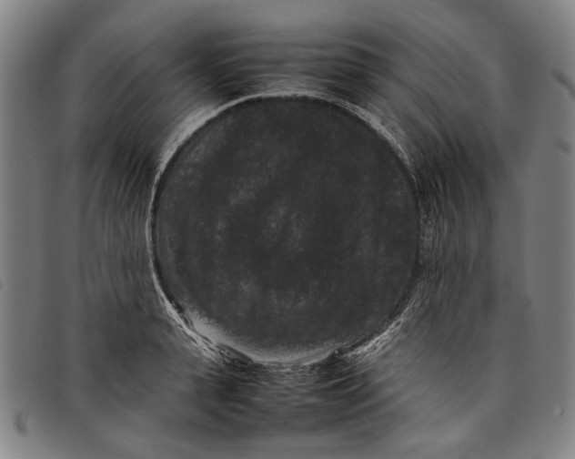 X0000097820943200804041355