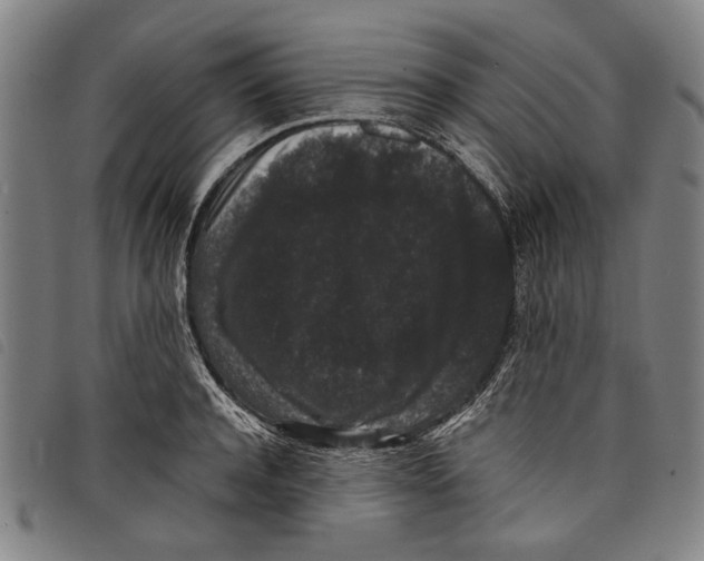 X0000097820944200804041355