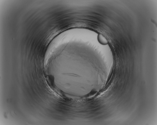 X0000097820945200804041355