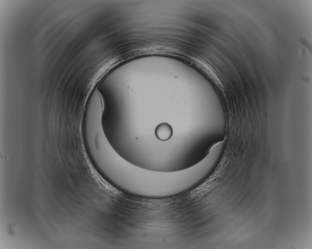 X0000097820946200804041355