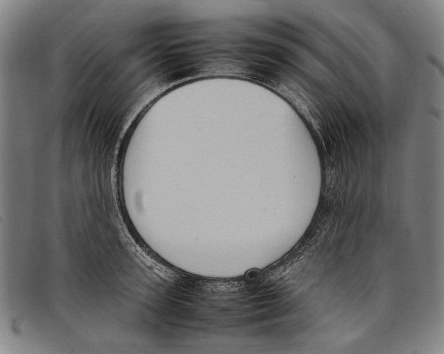 X0000097820947200804041355