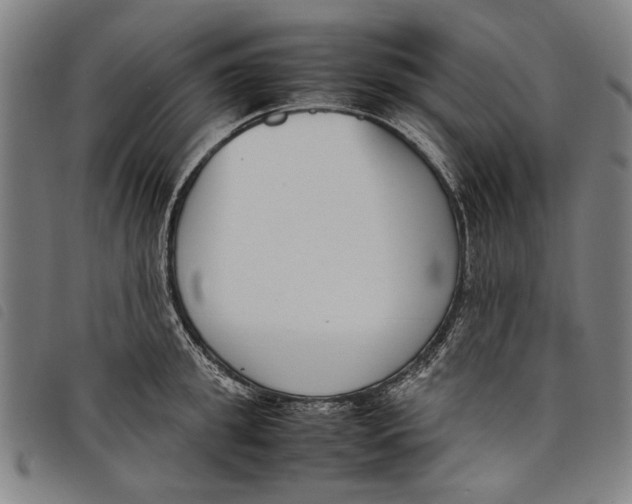 X0000097820949200804041356