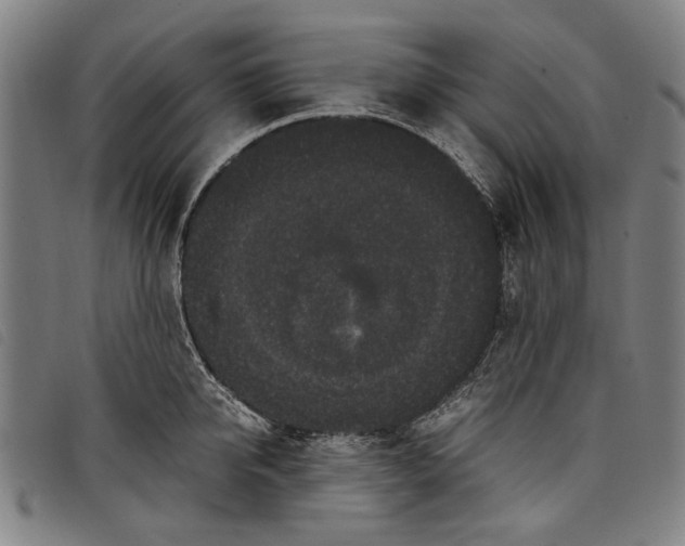 X0000097820950200804041356