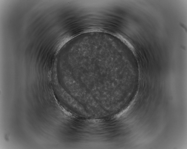 X0000097820953200804041356