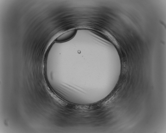 X0000097820955200804041356