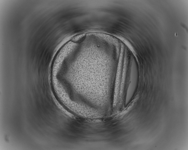 X0000097820957200804041356