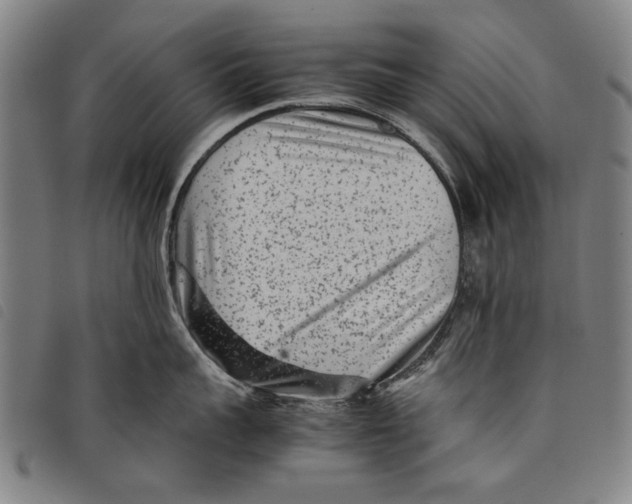 X0000097820959200804041356