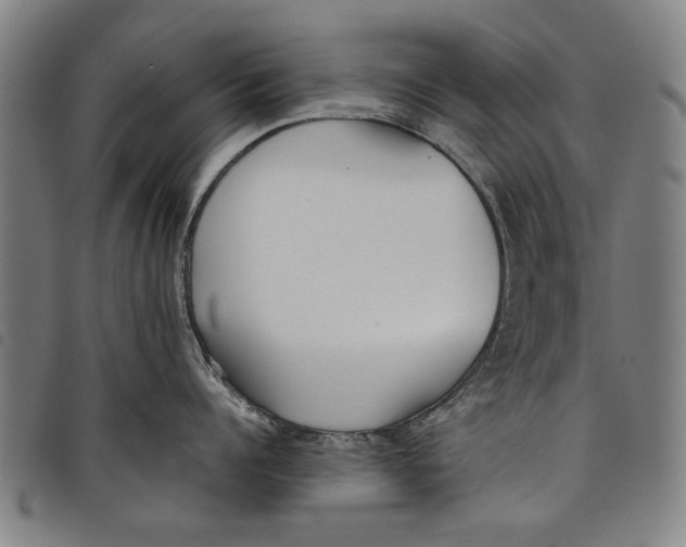 X0000097820960200804041356