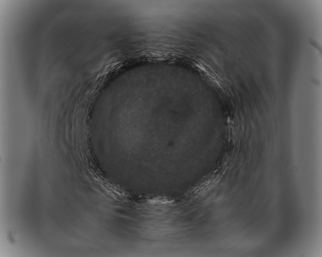 X0000097820961200804041355