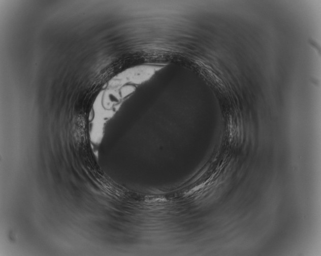 X0000097820964200804041355