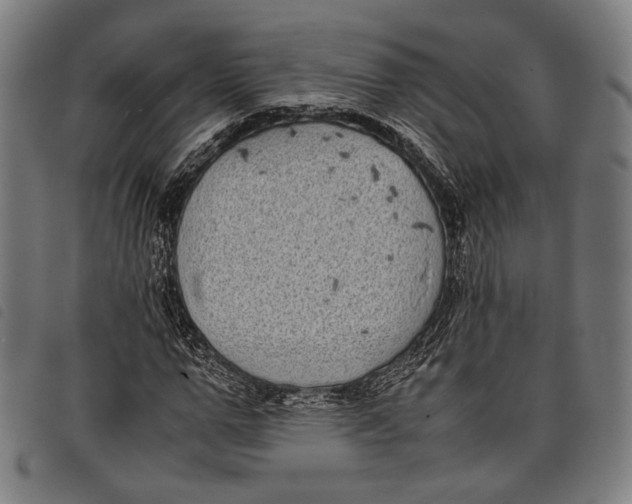 X0000097820967200804041355