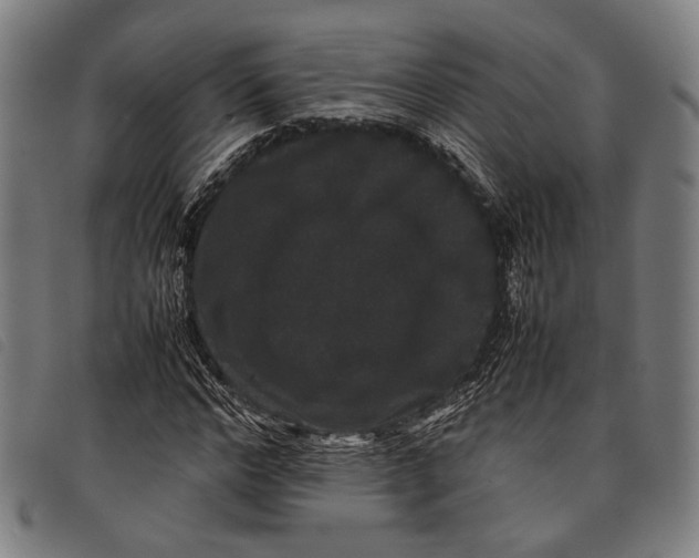 X0000097820968200804041355