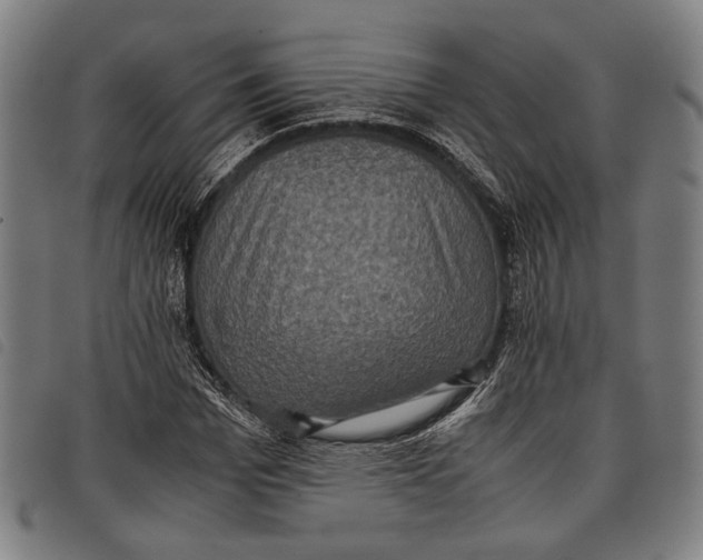 X0000097820969200804041355