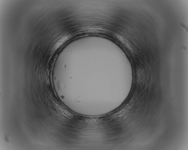 X0000097820970200804041355