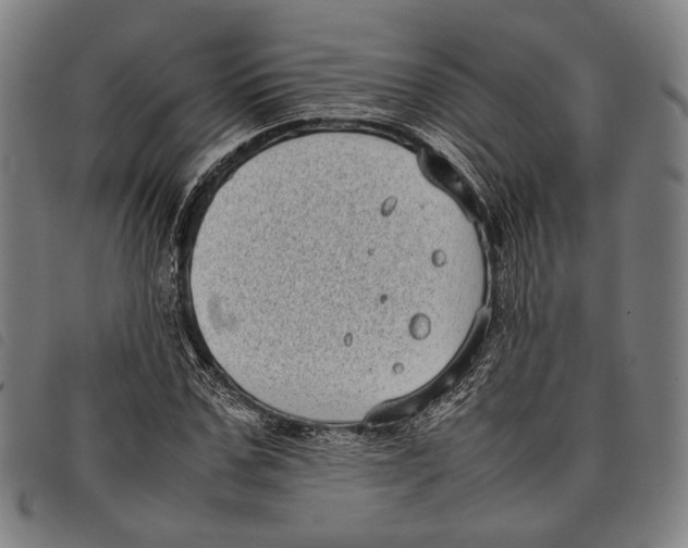 X0000097820971200804041355