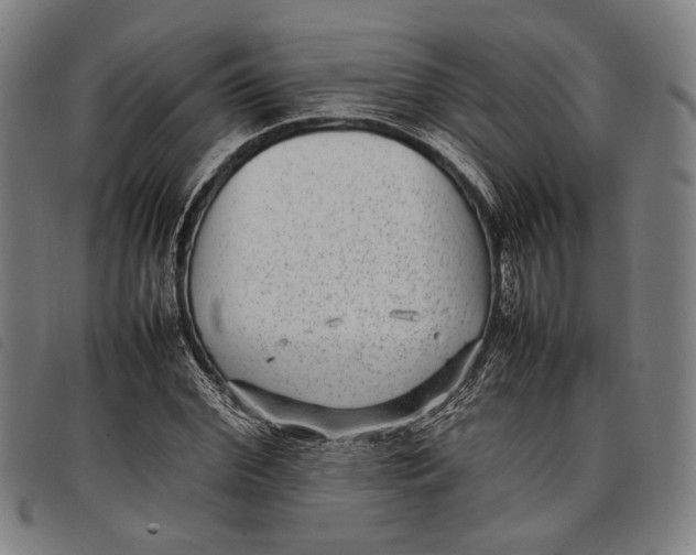 X0000097820972200804041355