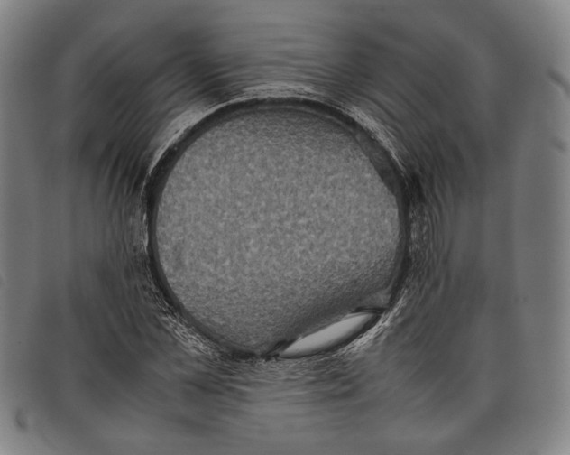 X0000097820973200804041355