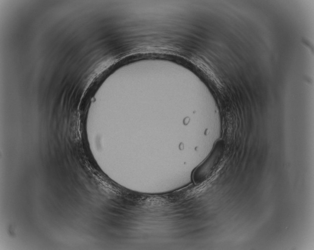 X0000097820974200804041355