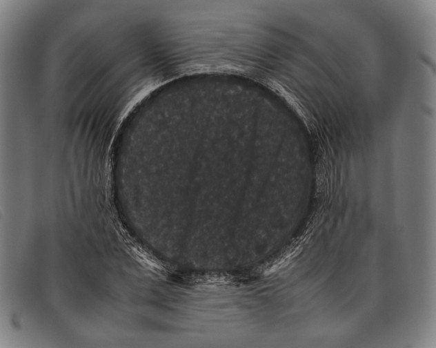 X0000097820975200804041355