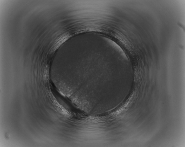 X0000097820977200804041355